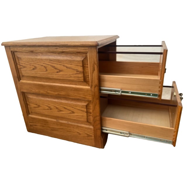 1980s Vintage Tiger Oak File Cabinet Two Drawers One Locks Paneled Sides Legal Size For Sale - Image 5 of 11