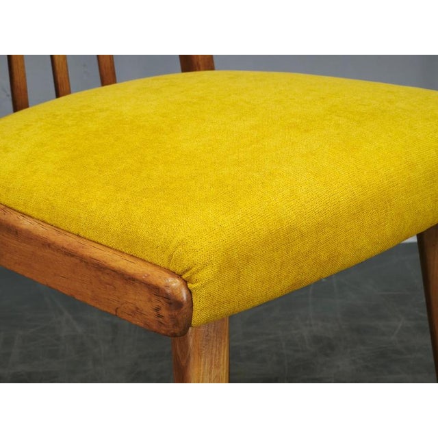 Mid-Century Modern Beech Dining Chairs from TON, Czechoslovakia, 1970s, Set of 4 For Sale - Image 9 of 16