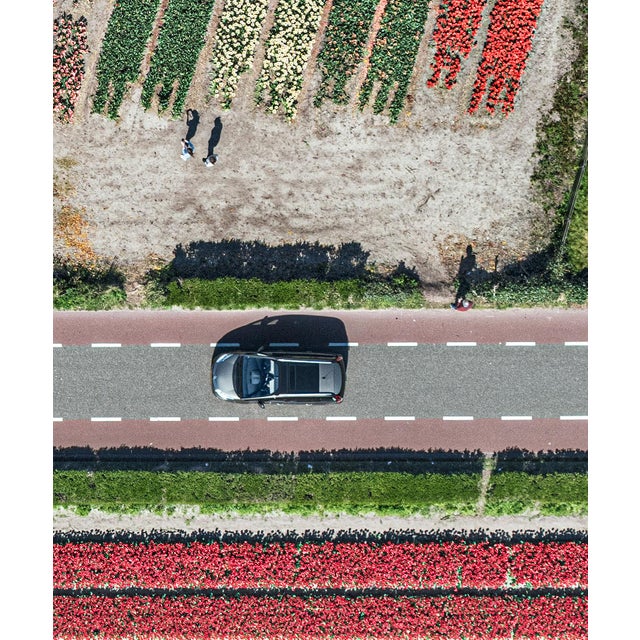 "AV_Tulip_Fields_010" Contemporary Aerial View Limited Edition Photograph by Bernhard Lang For Sale - Image 4 of 9