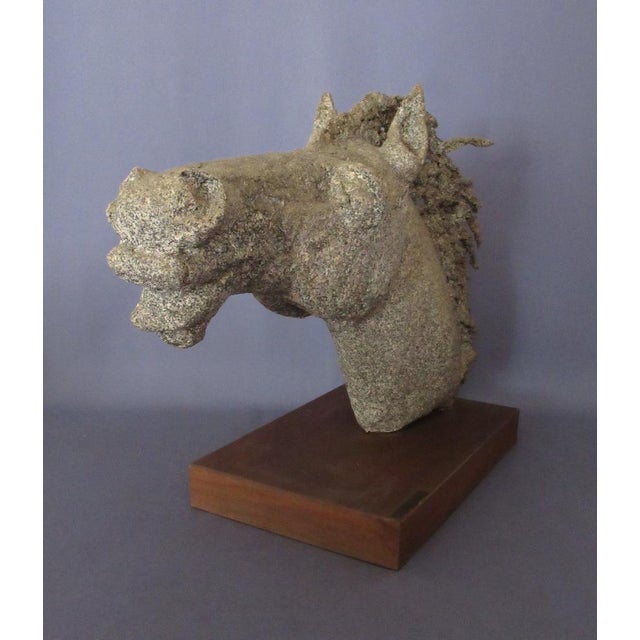 Emilia Parea, Horse Head Sculpture, 1960s, Granite and Papier-Mâché on Wood Base For Sale - Image 18 of 18