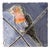 Vintage Hand Painted Studio Pottery Decorative Tile For Sale