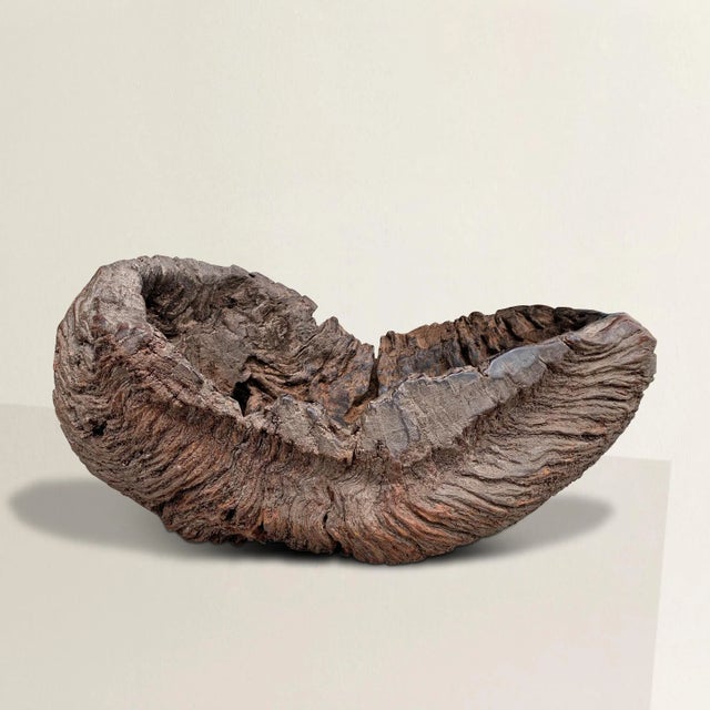 Behold the best burl wood bowl you've ever seen, a magnificent testament to the passage of time and the artistry of...