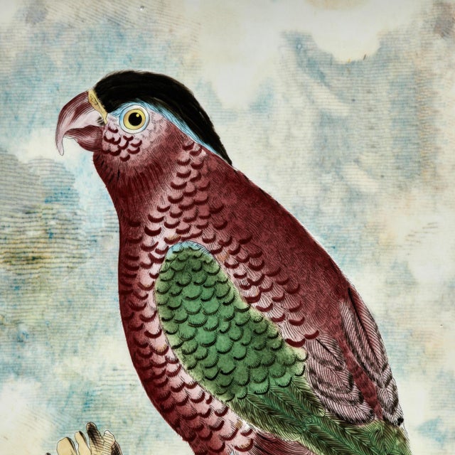 Vintage Porcelain Vase With Birds or Parrots by John Derian For Sale - Image 9 of 12