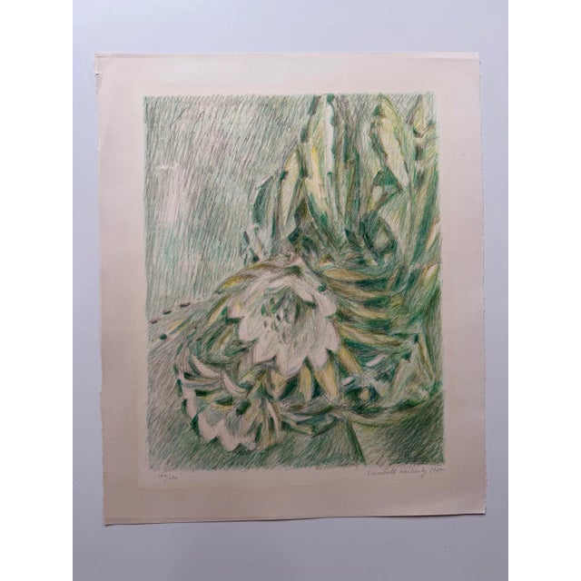 Elisabeth Karlinsky, Flowering Cactus, 1975, Paper For Sale - Image 4 of 4