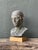 Vintage Classical Greek Style Plaster Bust For Sale In West Palm - Image 6 of 12
