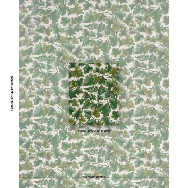 Drawn from an archival document, Edinburgh Vine is a lush, leafy wallpaper that brings the beauty of nature indoors....