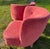 Textile Vintage Italian Modern Club Chairs in the Manner of Geo Ponti For Sale - Image 7 of 10