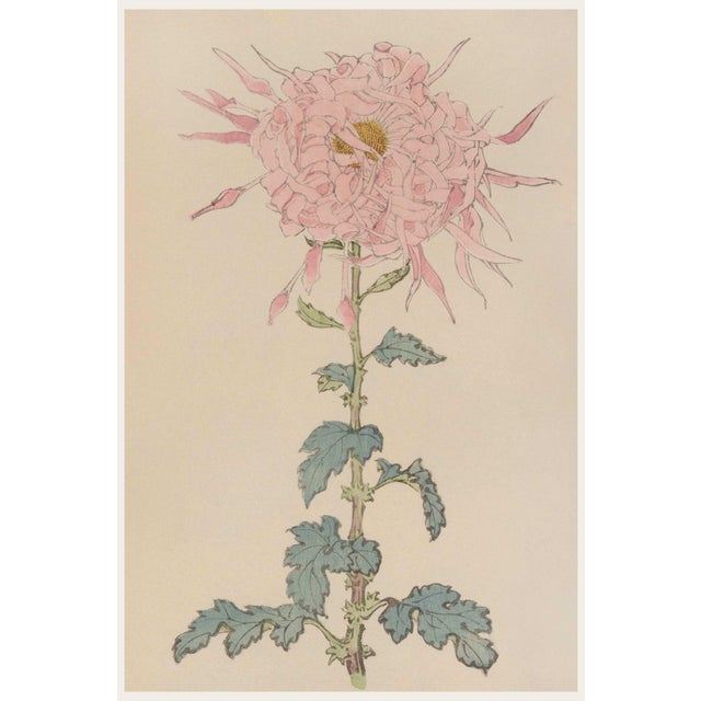 Pink Floral Giclee, Vintage Japanese Botanical Art Print, 8" X 12" For Sale