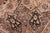 1990s Medallion 1990's Pak-Persian Taupe/Black Wool Rug - 8'0'' X 10'0'' For Sale - Image 5 of 9