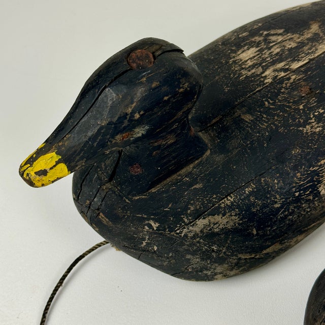 Pair of Early 20th Century C. E. Harding Duck Decoys For Sale In New York - Image 6 of 12