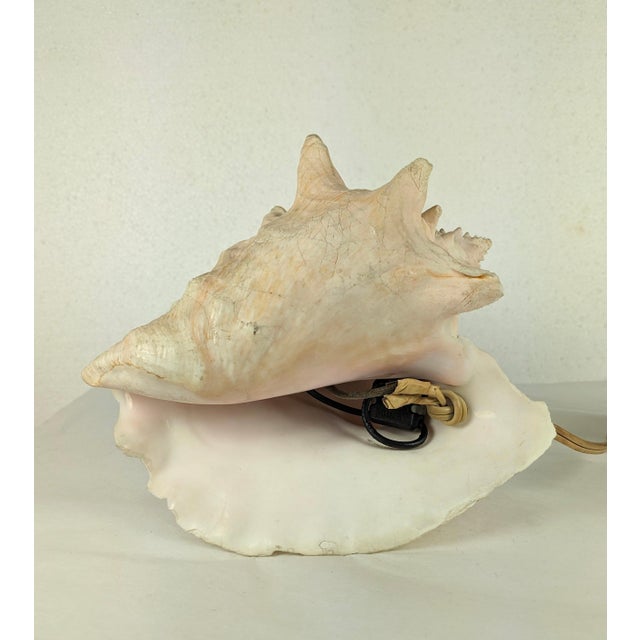 Deco Nautilus and Conch Shell Lamp For Sale - Image 9 of 11