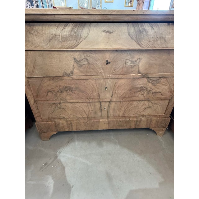 19th Century 19th Century French Louis Philippe Burl Walnut Bleached Chest of Drawer / Commode For Sale - Image 5 of 12