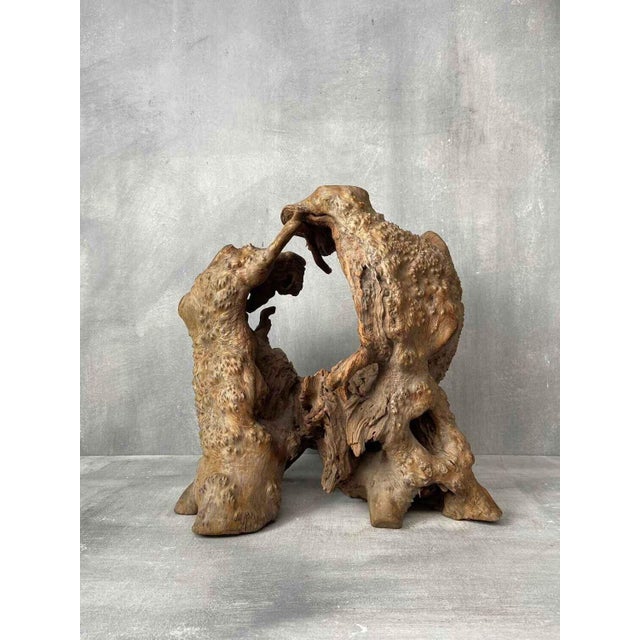 Brown Wabi-Sabi Japanese Sculptural Root Wood Object, 1950s For Sale - Image 8 of 9