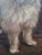 Late 19th Century Moody Antique Oil Painting Portrait of a Norfolk Terrier Dog For Sale - Image 5 of 18