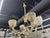 1940s Murano Glass Chandelier Attributed to Barovier For Sale - Image 10 of 11