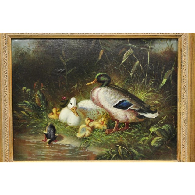 Traditional Vintage Traditional Oil on Canvas Wood Frame "Duck Family" Art Signed Borofsky For Sale - Image 3 of 12