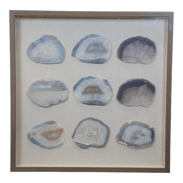 Vintage Shadowbox Wall Art Geode Chalcedony Agate Crystal Rock Slices For Sale