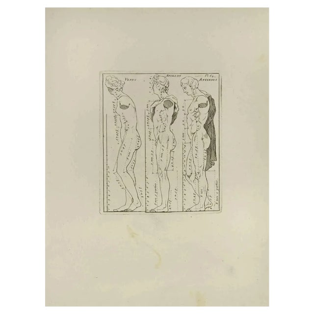 Nicholas Cochin, Anatomy Studies, Etching, 1755 For Sale