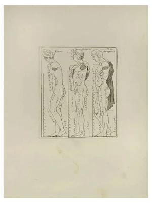 Nicholas Cochin, Anatomy Studies, Etching, 1755