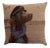 Captain Sailor Dog Tapestry Pillow For Sale