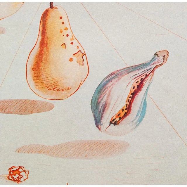 1955 After Dali "Fruits", Period Offset Lithograph From the Mrs. Albert D. Lasker Collection For Sale In Dallas - Image 6 of 13