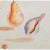 1955 After Dali "Fruits", Period Offset Lithograph From the Mrs. Albert D. Lasker Collection For Sale In Dallas - Image 6 of 13