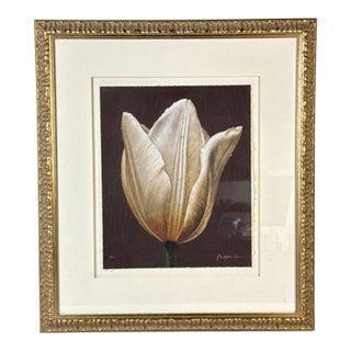 1990s John Matthew Moore "Madonna Tulipa" Signed Framed Limited Edition Print - 28/245 For Sale