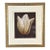 1990s John Matthew Moore "Madonna Tulipa" Signed Framed Limited Edition Print - 28/245 For Sale
