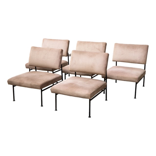 Vintage French ST 683 Chairs by Eddie Harlis, 1956 For Sale