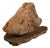 Rock Large Sculpture in Jurassic Natural Rock by Nerinea For Sale