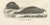 Mid 19th Century Seals and Elephant Seals in Arctic and Marine Habitat, 1836, Lithograph For Sale - Image 5 of 10
