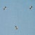 Schumacher Honey Bee Embroidery Fabric in Sky For Sale