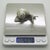 Vintage Italian Genuine Silver 800 Life-Size Snail Figurine by Arezzo Silversmith Ar 100, 1970s For Sale - Image 10 of 13