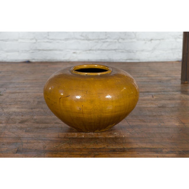 Chinese Vintage Porcelain Low Squat Planter with Yellow Mustard Glaze For Sale In New York - Image 6 of 12