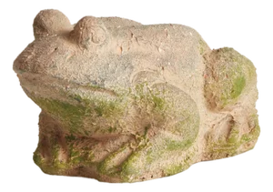 Weathered Garden Frog