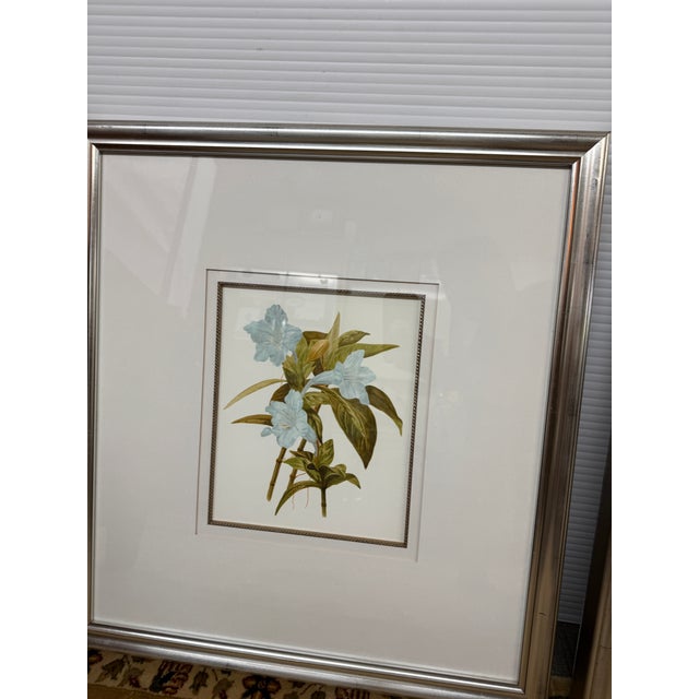 Blue Botanical Art Reproduction Prints, Set of Three For Sale - Image 10 of 12