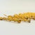Gold Vintage Golden Bamboo Cocktail Forks - Set of 11 For Sale - Image 8 of 9