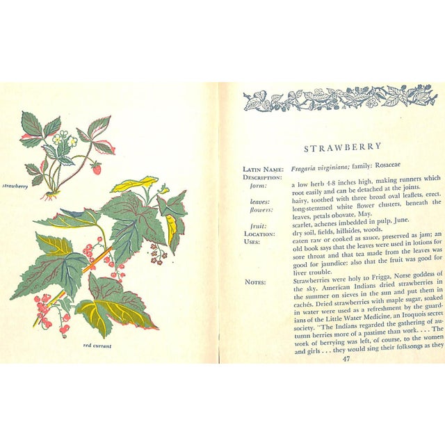 "Savor & Flavor: Berries in Fact and Fancy" 1944 Maril, Lee For Sale - Image 10 of 11