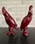 Italian 1950s Pair of Italian Ceramic Cockatoo Figurines by Urbano Zaccagnini For Sale - Image 3 of 12