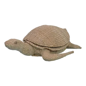 Turtle by Mario Lopez Torres
