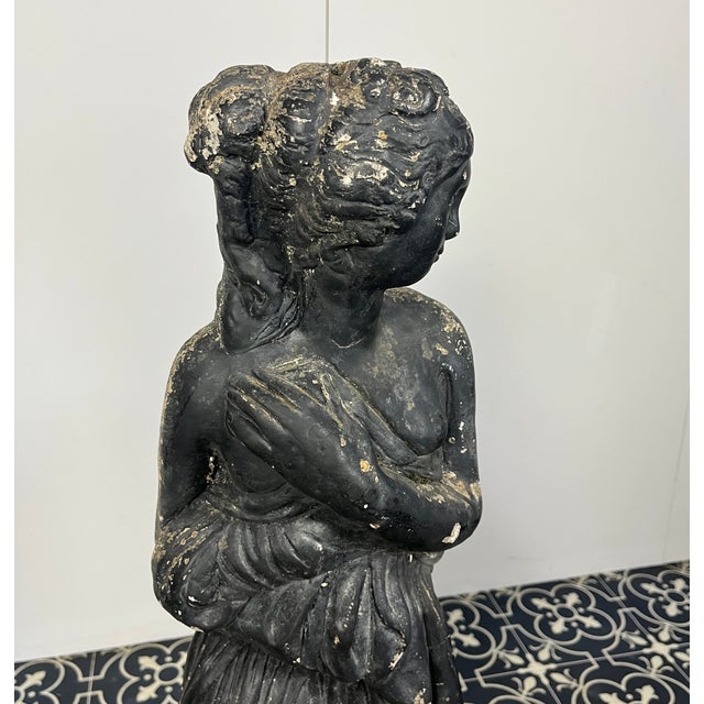 19th Century Venus Italica Ebonised Garden Statue For Sale - Image 3 of 15