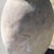 Antique Terracotta Jar, 19th Century For Sale - Image 9 of 10