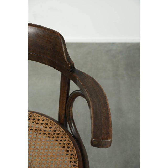 Brown Vintage Webbing Armchair in Curved Wood For Sale - Image 8 of 13