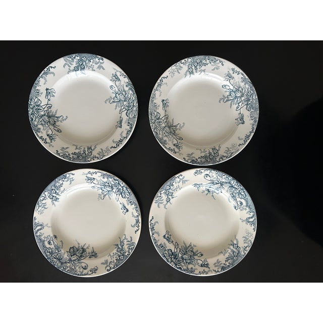 Terre De Fer Soup Plates from Louis Graves, 1890s, Set of 13 For Sale - Image 12 of 13