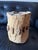Exceptional carved wooden wheel hub with a substantial, primitive form and remarkable natural surface character. The piece...