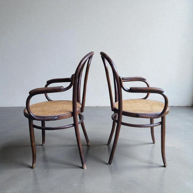 Set of Bentwood Armchairs in the style of Thonet, 1920s For Sale - Image 4 of 8