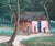 Jean-Felix Defournoy Modern Green & Brown Rural Village Landscape Painting with Playing Children, Late 20th Century For Sale - Image 12 of 12