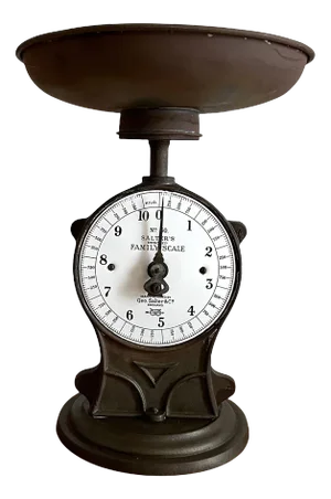 N.50 Scale from Salter