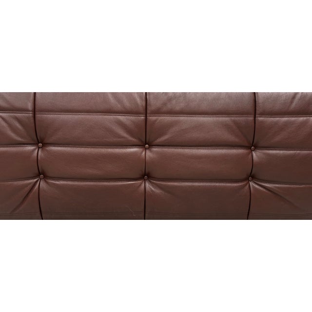 Mid-Century French Togo Sofa in Chestnut Brown Leather attributed to Michel Ducaroy for Ligne Roset For Sale - Image 9 of 10
