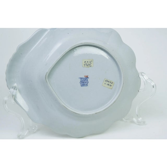 Spode "Bang Up" Shell Dish - 19thC. - England For Sale - Image 10 of 12